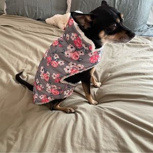 Floral Dog Coat for small-med dog